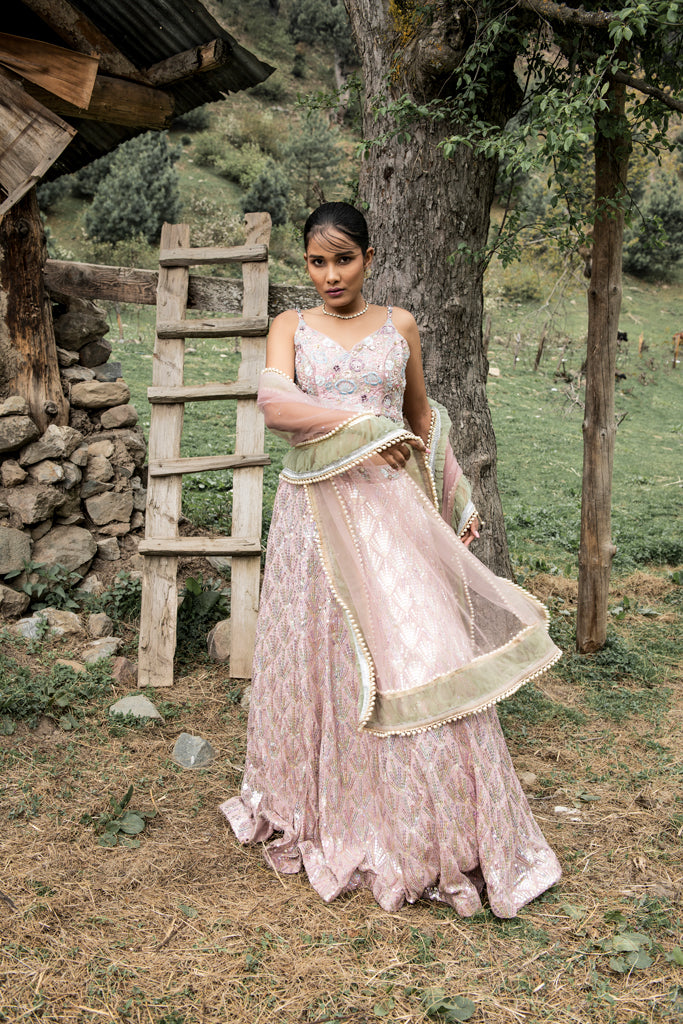 Rainbow Sequin Lehenga