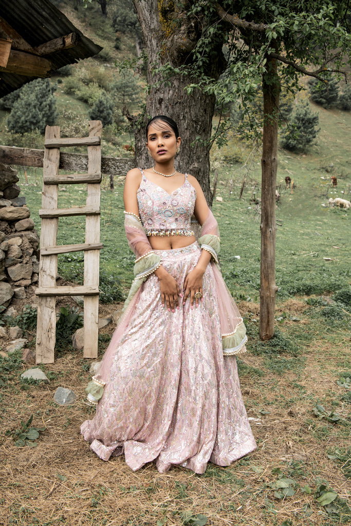 Rainbow Sequin Lehenga