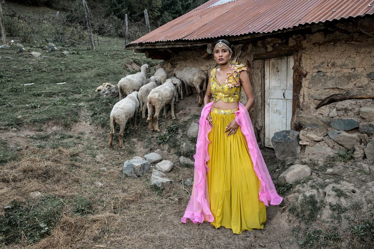 Old Gold Lehenga