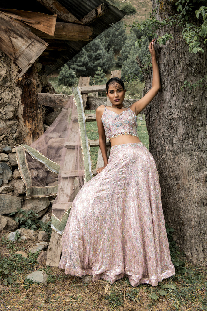 Rainbow Sequin Lehenga