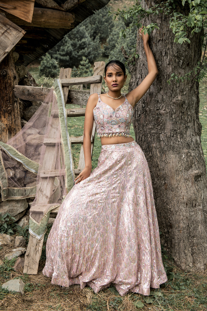 Rainbow Sequin Lehenga