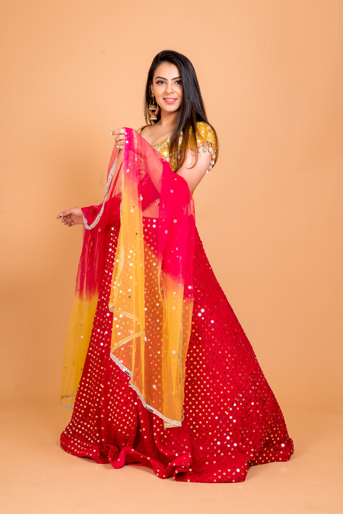 Flamboyant Lehenga Set