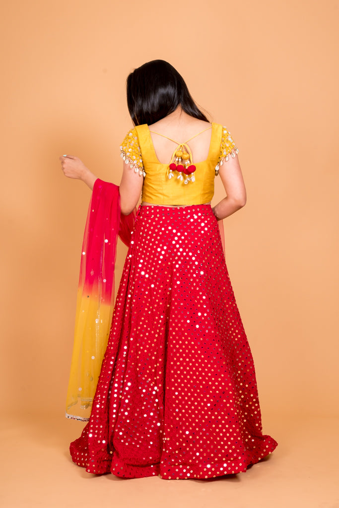 Flamboyant Lehenga Set